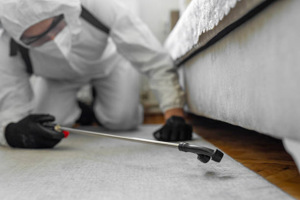 Professional Cockroach Control technician working in Montebello, NY